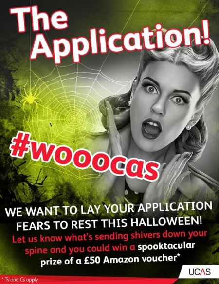 The Application poster