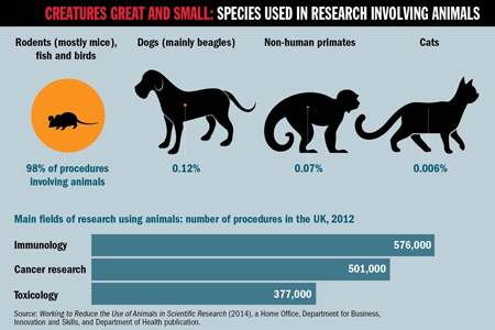 Feature infographic (1 May 2014)