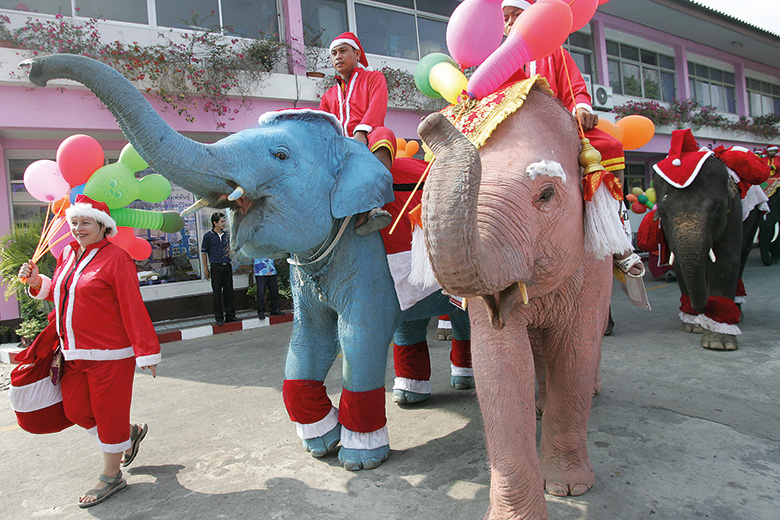 Christmas elephants