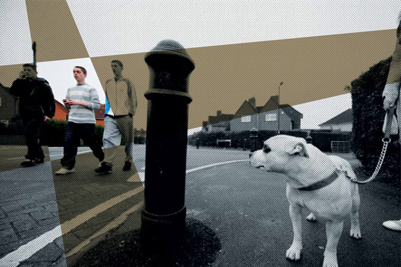 Someone walking a dog alongside three boys walking in the road