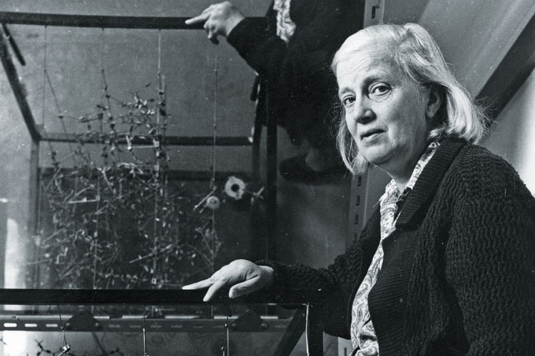 Dorothy Hodgkin, London 1973