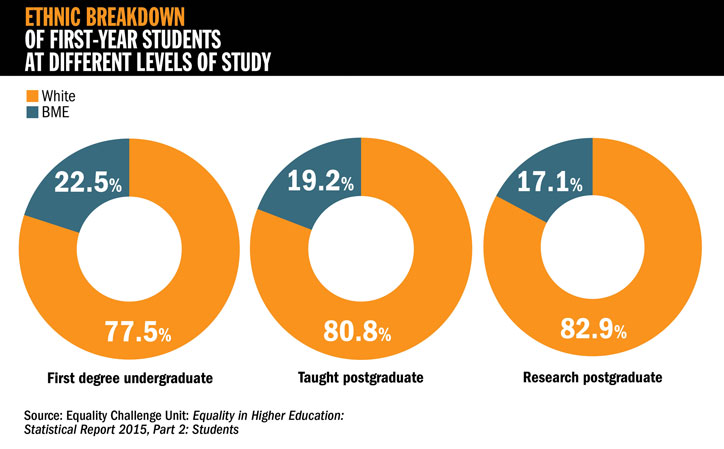 Ethnic breakdown of first-year students at different levels of study