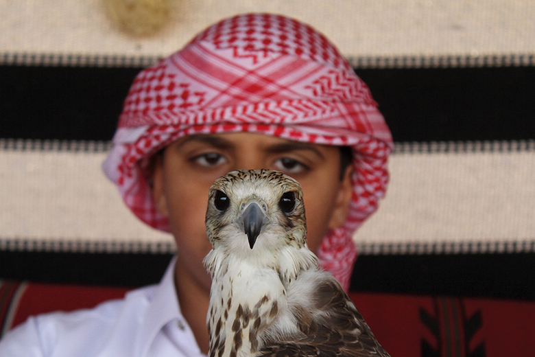 Boy with falcon