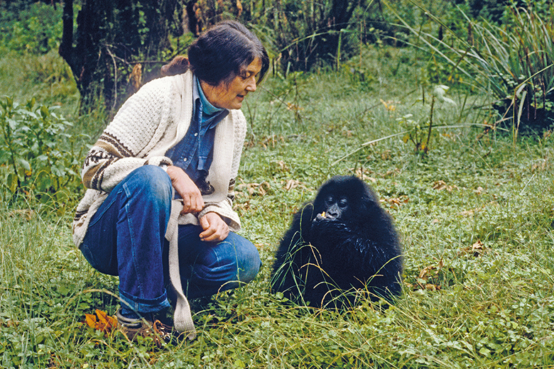 Dian Fossey