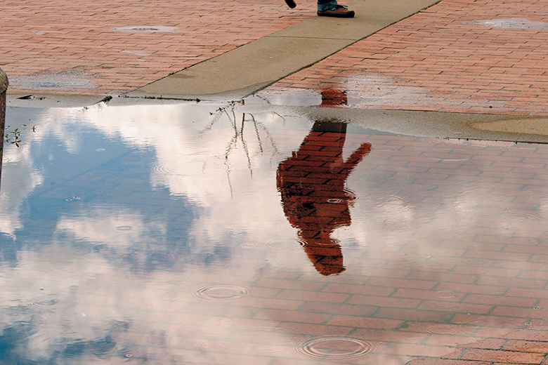 Reflection in a puddle