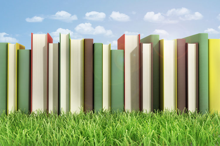 Row of hardback books on lawn