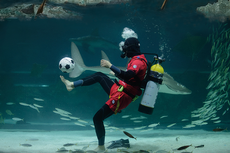 Scuba football