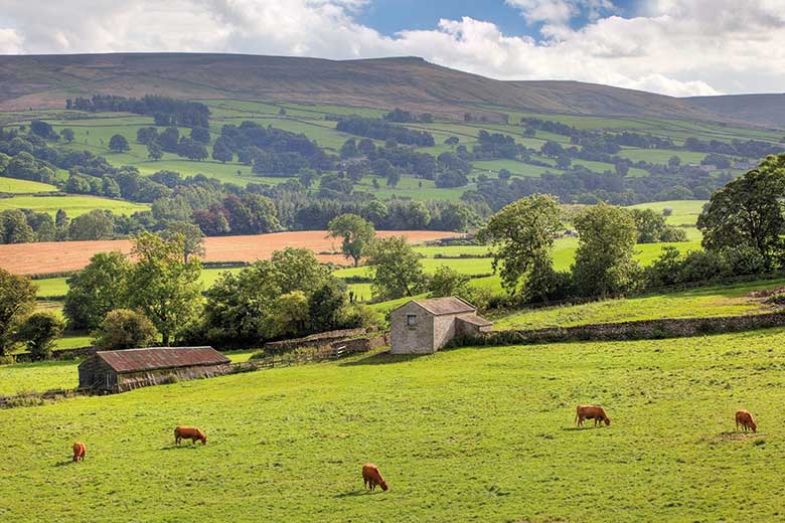 yorkshire_istock