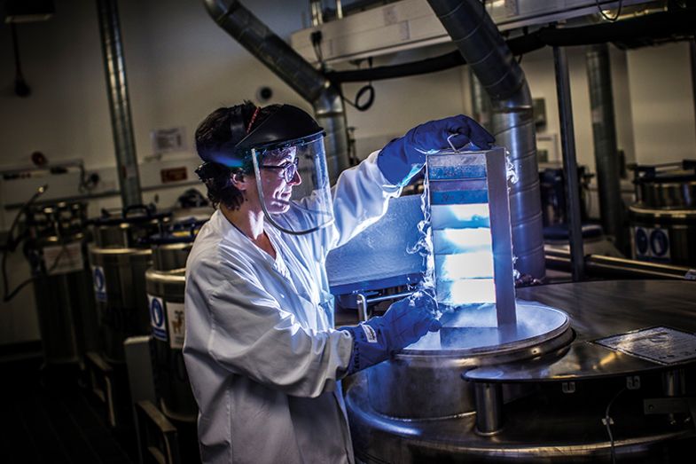 A scientist lowers biological samples into a liquid nitrogen storage tank at the Cancer Research UK Cambridge Institute