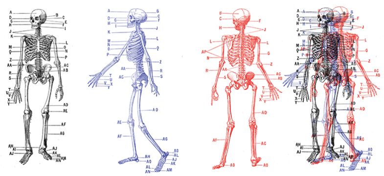 Three-colour process skeleton print