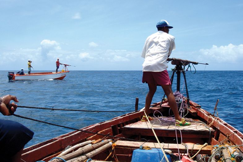 Whale hunting boat