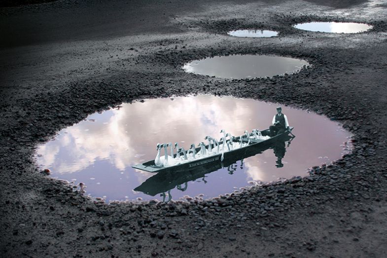 Montage of a historical picture of a man rowing a boat with swans in a puddle