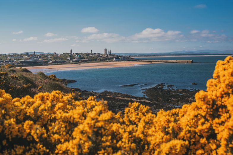 East Sands in St Andrews, Fife, Scotland as mentioned in the copy