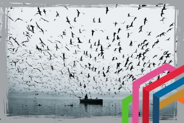 Boat with flock of birds around it to suggest stewardship