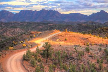 Flinders Ranges National Park, South Australia 