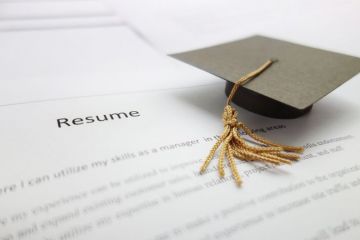 Application for graduate job