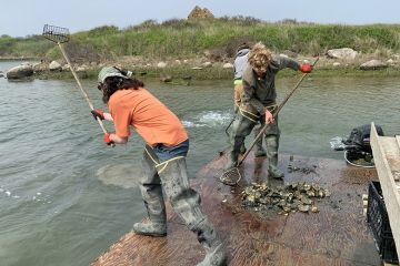 Students on Gull Island, off the Massachusetts coast