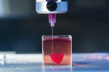 Presentation of a 3D live heart printed from human tissue at Tel Aviv University