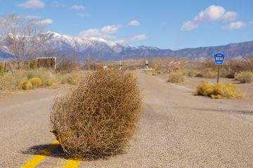 Tumbleweed blows across a desert highway