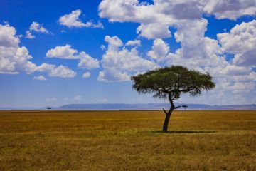 Sub-Saharan Africa