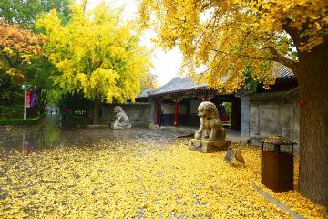 Tsinghua University