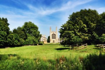 University of Cambridge campus surrounded by grass and trees