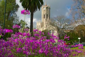 Tower at the University of Auckland