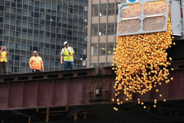  Rubber ducks are dropped into the Chicago River to illustrate Mounting debt poses threat to mission, Chicago warned