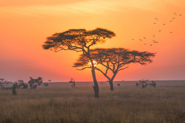 african sunrise