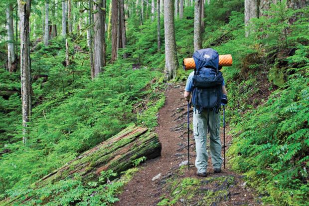 Backpacker hiking in forest