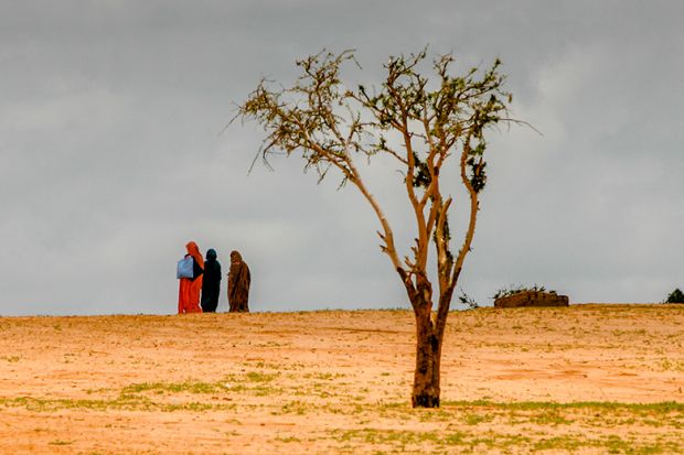 The barren land is taken over by the Sahara desert in Chad, where farmers and herders are pitted against each other over diminishing pasture and resources. As an illustration of how UK cuts to research aid will harm it's reputation