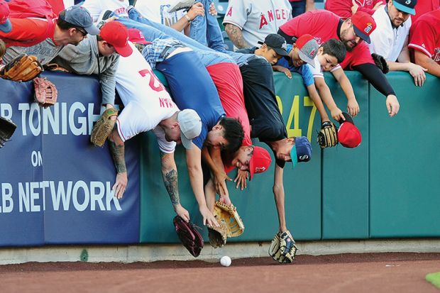 Baseball fans