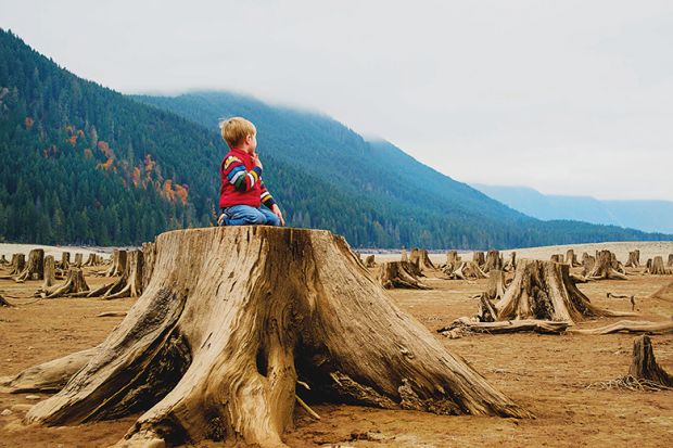 Boy kneels on tree stump