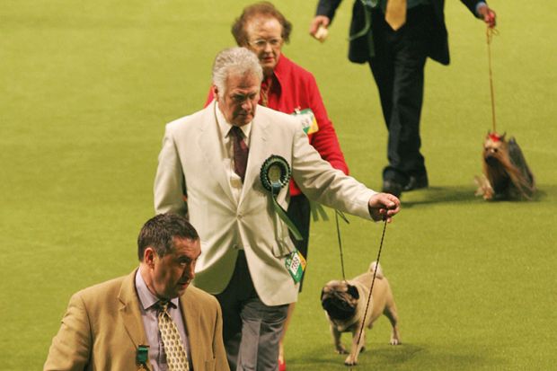 Crufts