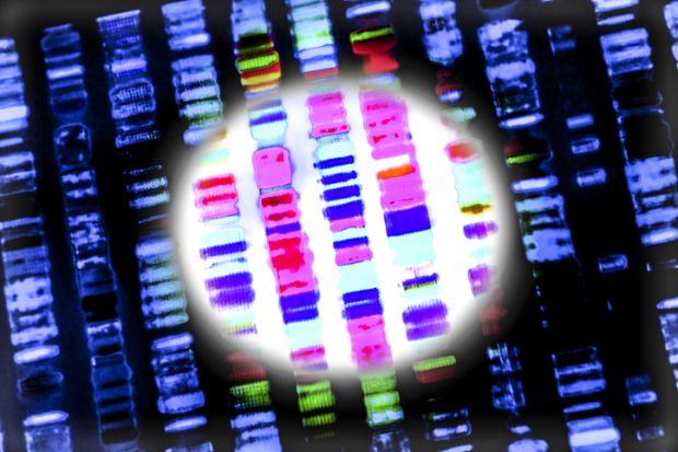 A DNA sequence