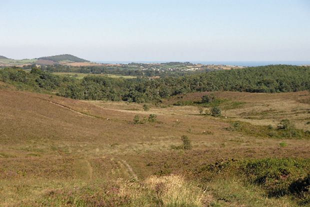 Devon landscape