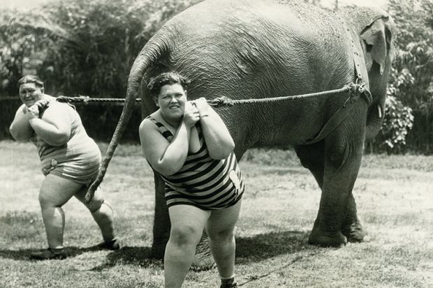 Two people dragging an elephant