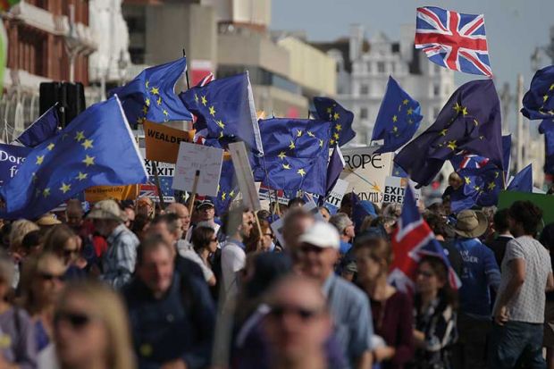 eu-flags-protest