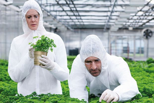 Scientists in green house