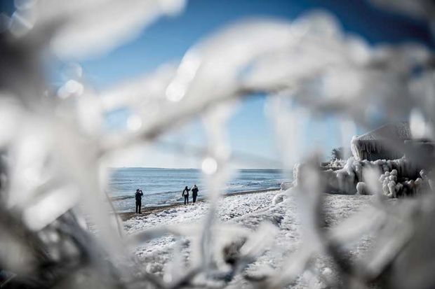 frozen-shore-denmark