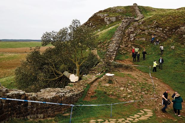 Cordoned-off area where the 'Sycamore Gap' tree on Hadrian's Wall once stood, northern England