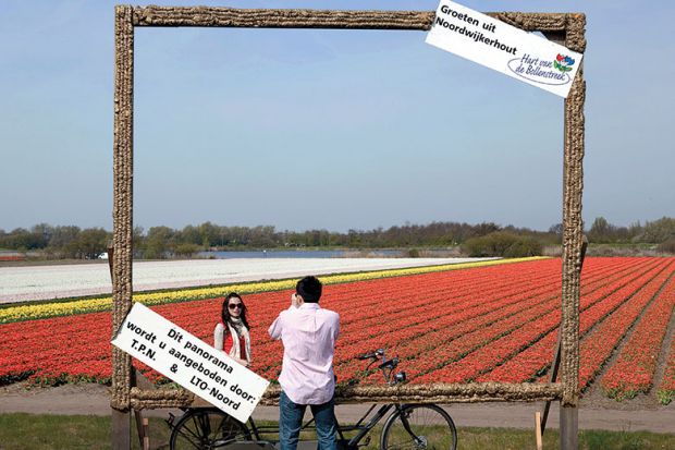 giant picture frame around view