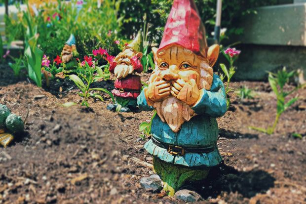 Giggling garden gnome