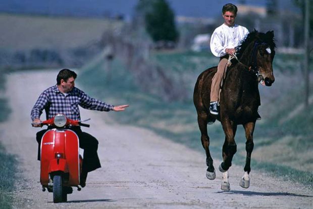 horse-moped-road