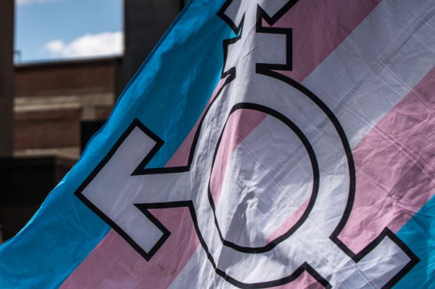 trans flag