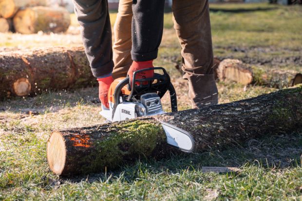 Man is sawing a tree