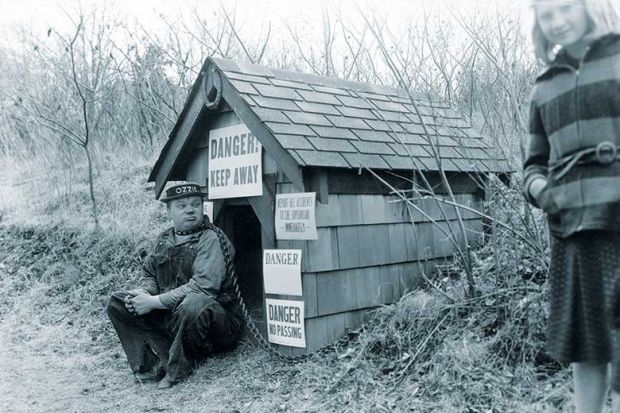 man-in-kennel