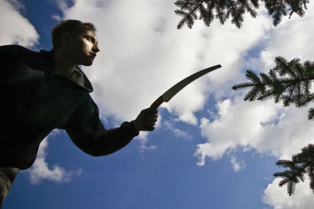 Man reaching out to prune tree