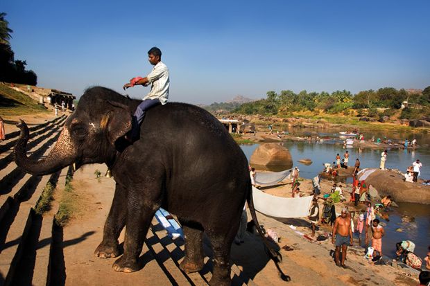 Man riding an elephant