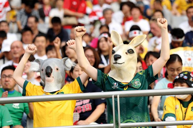 koala and kangaroo masks 